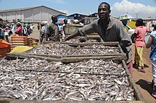 Bandari ya uvuvi ya Tema nchini Ghana