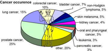 The most common cancers in US males, by occurrence, 2008.[20]