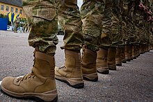 Ukrainian combat boots.jpg