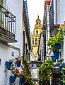 Calleja de las Flores, une des rues les plus populaires et touristiques de la ville.