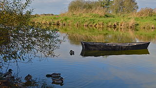 Le lac de Grand Lieu