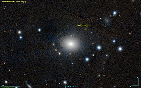 Image illustrative de l’article NGC 1005