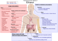 A diagram showing the mostly bad effects of consuming a large amount of alcohol compared to the good effects of a small to moderate amount.