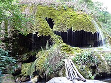 "Zontik" (Umbrella) natural monument