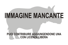 Immagine di Epiaceratherium mancante