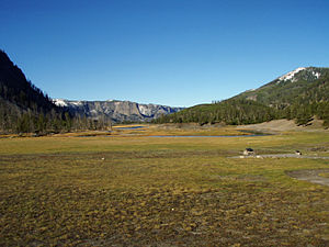 National Park Meadow with Mount Haynes on the horizon