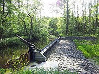 Abzweig der Flutmulde im Bellheimer Wald