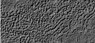 HiWish计划下高分辨率成像科学设备显示的细胞闭合型脑纹地形，这种类型的表面常见于舌状岩屑坡、同心坑沉积和线状谷底沉积。
