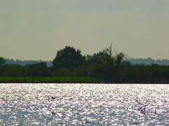 Le lac de Grand Lieu