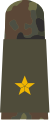 Matrose OA (Seaman Recruit OA mounting strap, with embroidered nautical star)