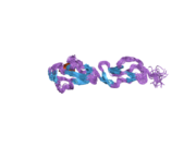 2bzm: SOLUTION STRUCTURE OF THE PRIMARY HOST RECOGNITION REGION OF COMPLEMENT FACTOR H