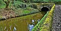 Peak Forest Canal