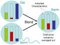 Image 9Blending Inheritance (from History of genetics)