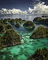 Image 50Piaynemo karst archipelago in Raja Ampat, Southwest Papua (from Tourism in Indonesia)