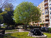 Passeig d'Aragó