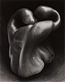 Image 100Pepper No. 30, by Edward Weston (edited by Bammesk) (from Wikipedia:Featured pictures/Artwork/Others)