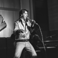 1948 Shakin' Stevens (rocker)