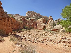 Grand Wash Trail