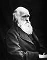 The Descent of Man (Darwin) by Charles Darwin