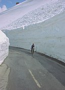 Forår på Galibier