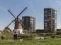 Gouda, Mühle: de Mallemolen