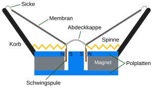 Konus-Lautsprecher schematisch, seitlicher Schnitt („Abdeckkappe“ = Staubschutzkalotte)