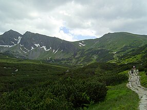 Zleva: Prostredná kopa, Krajné sedlo, Krajná kopa, Ľaliové sedlo, Beskyd; pohled z cesty na Kasprov vrch