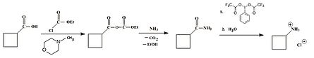 Synthesis of cyclobutylamine hydrochloride from cyclobutylcarboxylic acid involving a hypervalent iodine compound, C6H5–I(OCOCF3)2