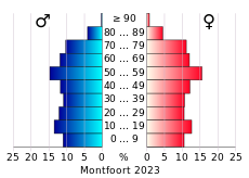 Bevolkingspiramide van de gemeente Montfoort