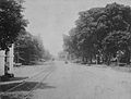 L'avenue principale de Meester Cornelis à la fin du XIXe siècle