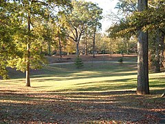 Coin boisé du parc.