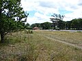 The approach into Woodside yard from the Greytown Branch.