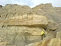 Image 11A geologist studies the Ashdown Formation on the East Sussex coast (from Geology of East Sussex)