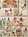 Image 34Agricultural scenes of threshing, a grain store, harvesting with sickles, digging, tree-cutting and ploughing from Ancient Egypt. Tomb of Nakht, 15th century BC. (from History of agriculture)