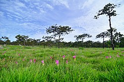 Pa Hin Ngam National Park