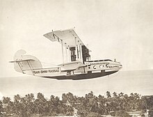 Aircraft over palm trees