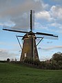 molen