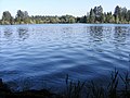 Calm lake with trees on the opposite side in the distance