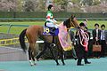 2014年優勝馬ハープスター