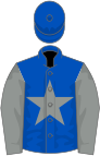 Royal blue, grey star and sleeves