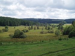 Skyline of Chavanac