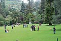 نباتاتی باغ - اوٹی (Botanical Garden - Ooty)