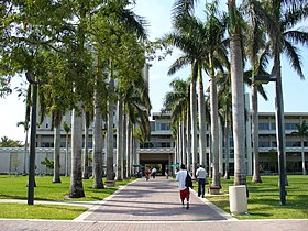 Vojo kondukante al la Bibioteko Otto G. Richter en la kampuso de Universitato Miami