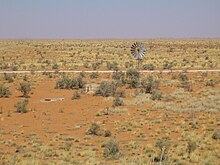 Water Hole Windmill Kgalagadi Transfrontier Park.jpeg