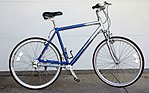 Dynamische "Runabout" 7 fiets met asaandrijving