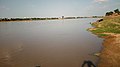 Fleuve Chari, vu de Kousseri, qui se jette au Lac Tchad.