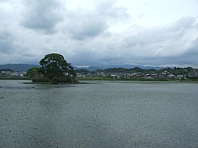 平池