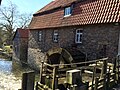 Nackte Mühle an der Nette