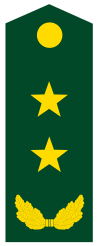 中将