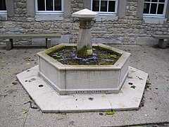 Fontaine du puits-salé.